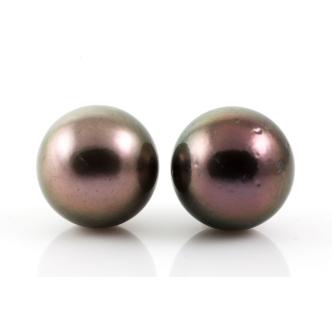 11.6-11.8mm Tahitian Pearl Earrings