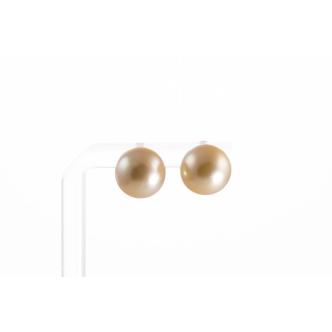 11.7-11.8mm Golden Pearl Earrings