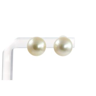 10.5mm Golden South Sea Pearl Earrings