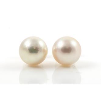 8.2mm Akoya Pearl Studs