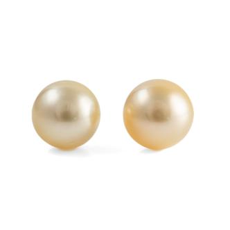 10.5mm Golden South Sea Pearl Studs