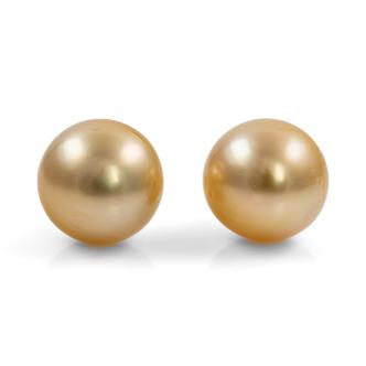 10.5mm Golden South Sea Pearl Earrings