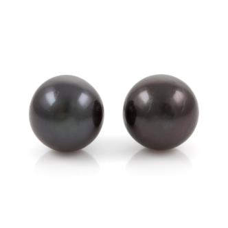 11.5mm Tahitian Pearl Earrings