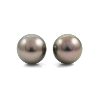 11.8-11.9mm Tahitian Pearl Studs